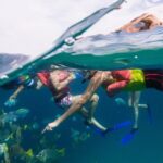 1 glass bottom boat ride and snorkel tour in cabo san lucas Glass-Bottom Boat Ride and Snorkel Tour in Cabo San Lucas