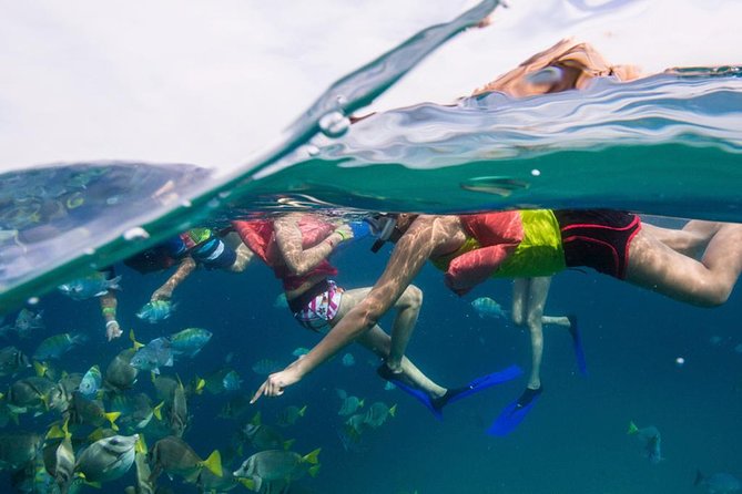 Glass-Bottom Boat Ride and Snorkel Tour in Cabo San Lucas