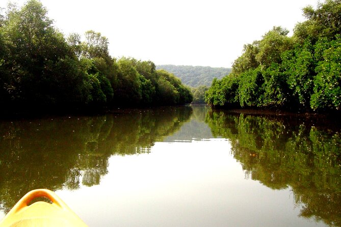 Goa Kayaking Spikes Salonia Backwaters Kayaking Experience