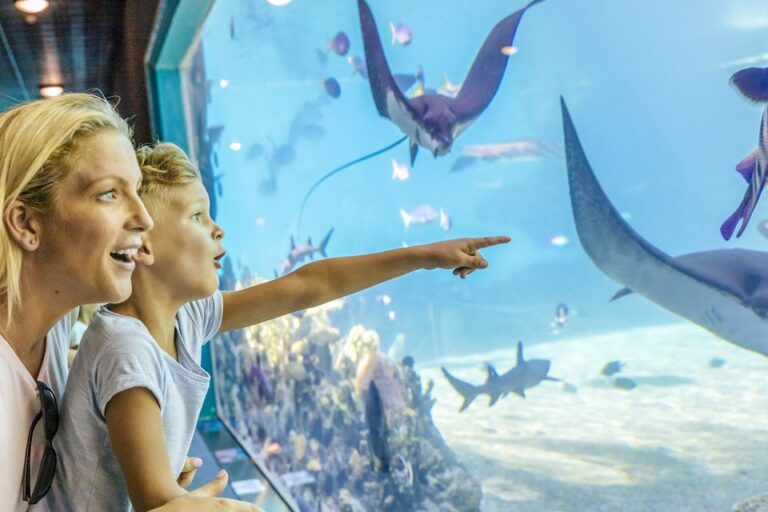 Gold Coast: Movie World, Sea World & WetnWild 7-Day Pass