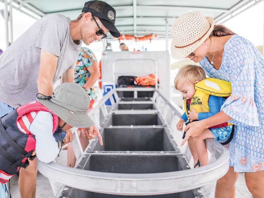 Gold Coast: Tangalooma Marine Discovery Day Cruise Transfers