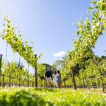 1 gold coast winery tour with tastings and 2 course lunch Gold Coast: Winery Tour With Tastings and 2-Course Lunch