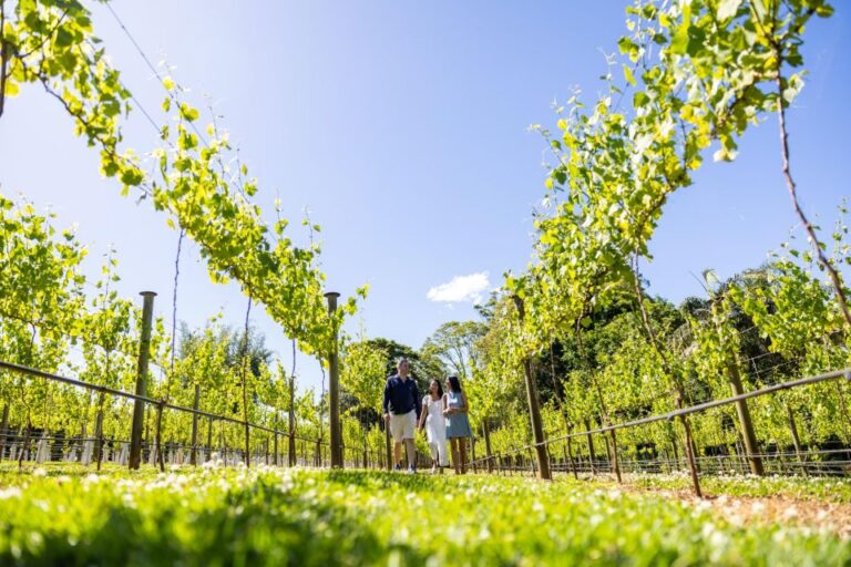 Gold Coast: Winery Tour With Tastings and 2-Course Lunch