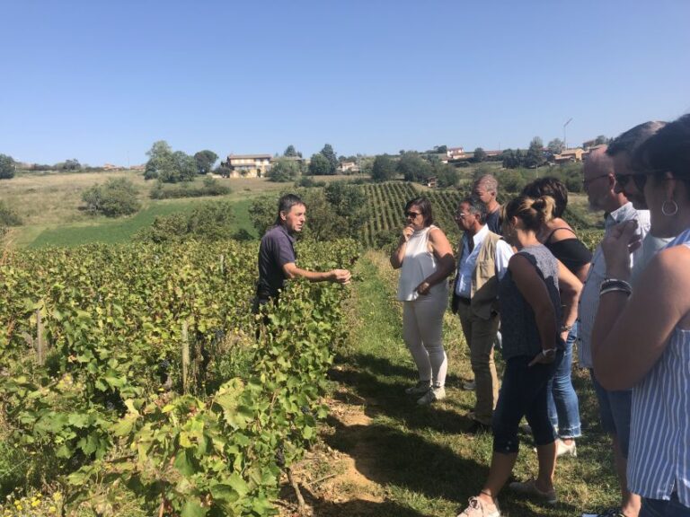 Golden Stones Beaujolais Wine Tasting Trip From Lyon