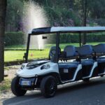1 golf cart tour drivingtalkingwalking Golf Cart Tour (driving,talking,walking)