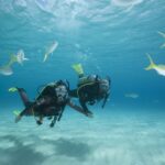 1 gran canaria 3 day padi open water diver course Gran Canaria: 3-Day PADI Open Water Diver Course