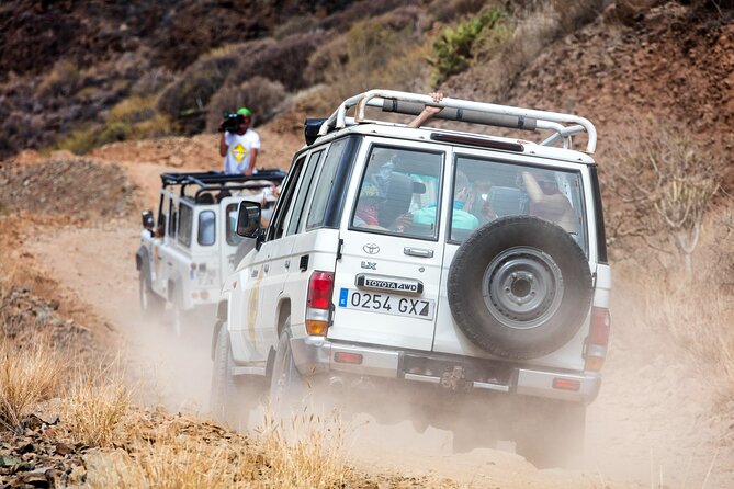 Gran Canaria 4×4 Adventure With Optional Camel Ride