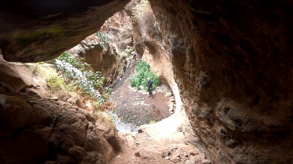 1 gran canaria rainforest canyoning tour with gear and snack Gran Canaria: Rainforest Canyoning Tour With Gear and Snack