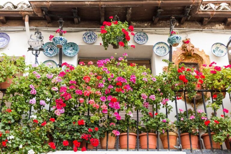 Granada: Albaicín and Sacromonte Walking Tour