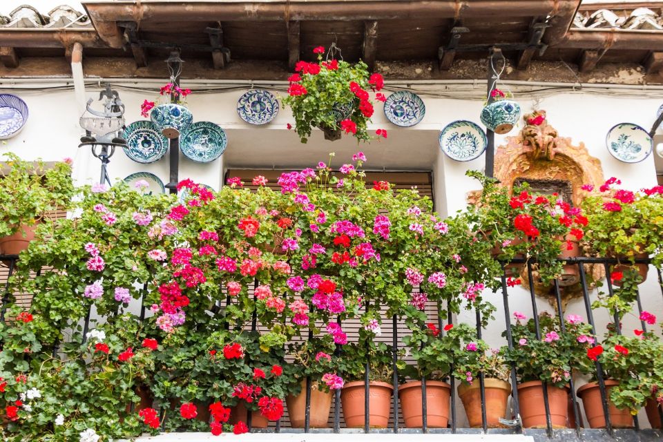 1 granada albaicin and sacromonte walking tour Granada: Albaicín and Sacromonte Walking Tour