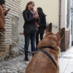 1 granada guided realejo tour with pets Granada: Guided Realejo Tour With Pets