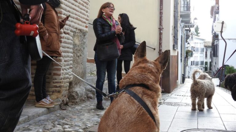 Granada: Guided Realejo Tour With Pets