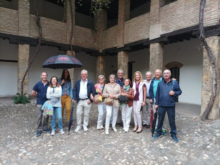 Granada: Historic Center and Lower Albaicin Walking Tour