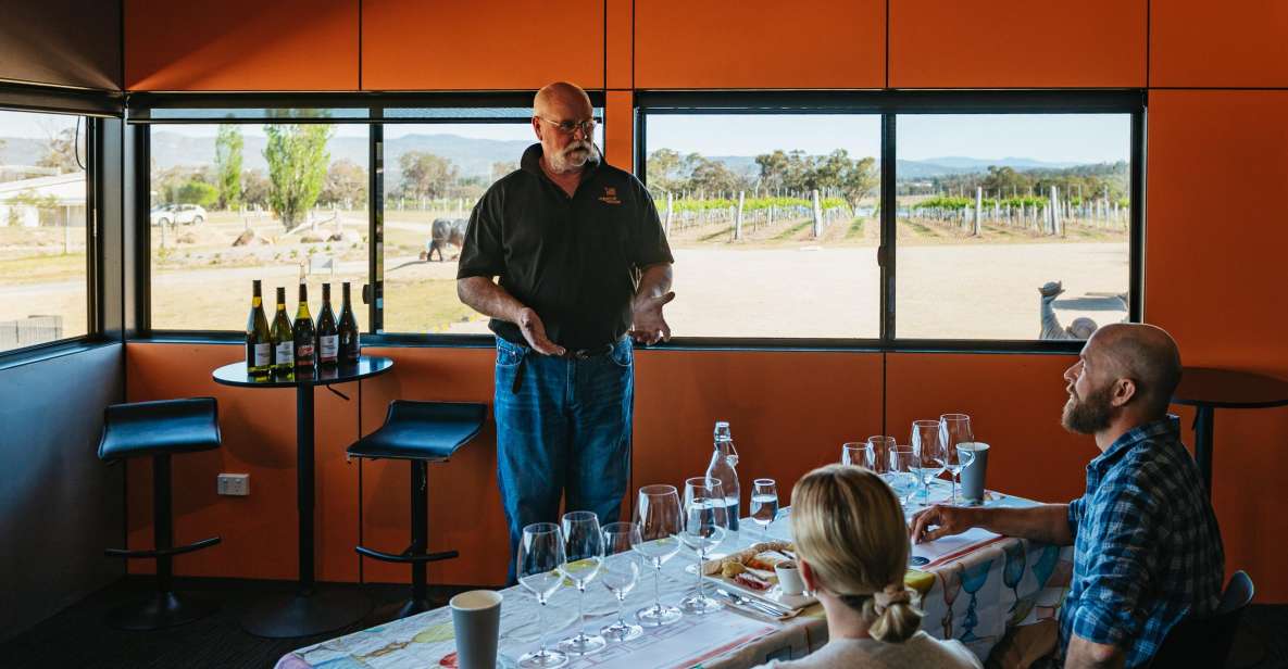 1 granite belt winemakers winetasting experience cheese Granite Belt: Winemakers Winetasting Experience & Cheese