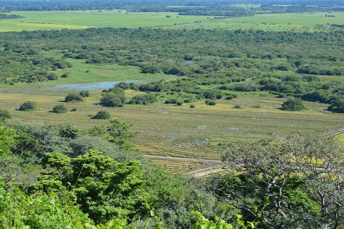 Guanacaste Forest Zipline (Tamarindo, Playa Grande, Flamingo, Potrero)