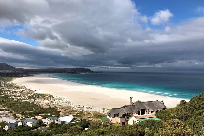 Guided Day Tour to Cape Point, Penguins and Wine Tasting