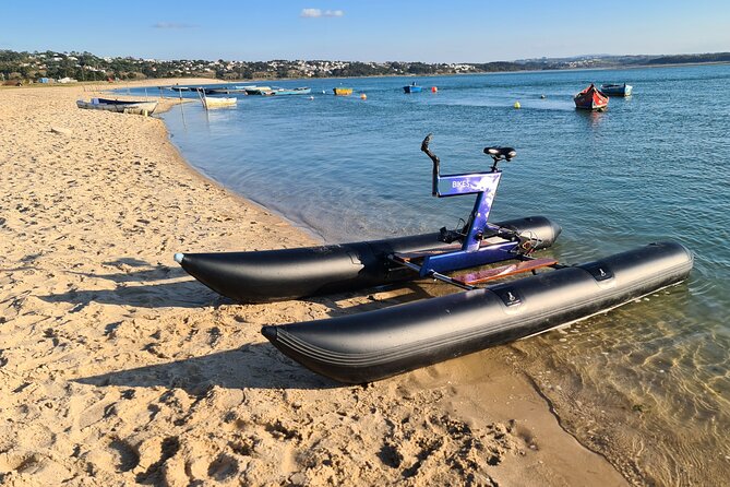 Guided Kayak Private Tours in the Óbidos Lagoon
