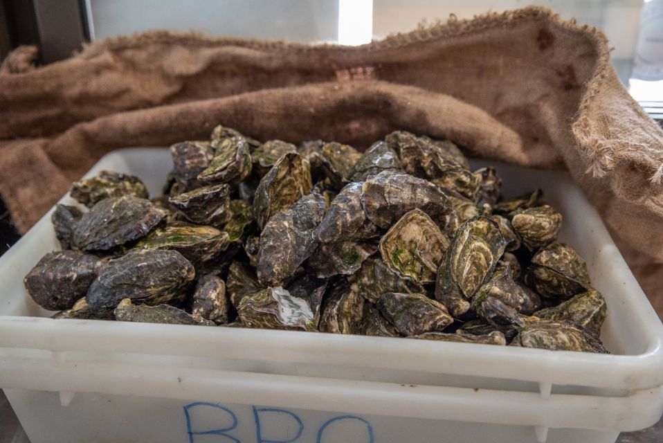 1 guided oyster tasting Guided Oyster Tasting