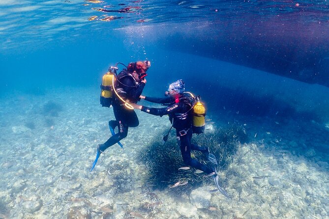 1 guided scuba diving experience in kusadasi Guided Scuba Diving Experience in Kusadasi