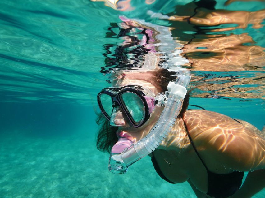 Guided Snorkel in Barcelona Beach