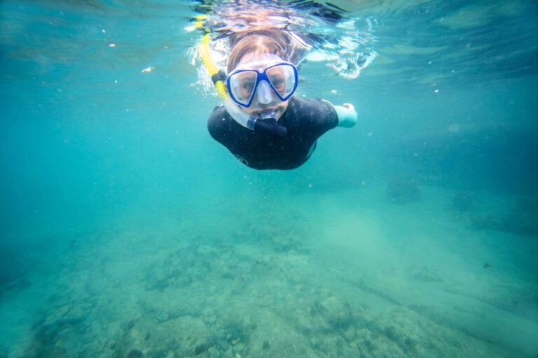 Guided Snorkeling Tours Auckland