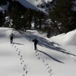 1 guided snowshoe route in the national park in the pyrenees Guided Snowshoe Route in the National Park in the Pyrenees