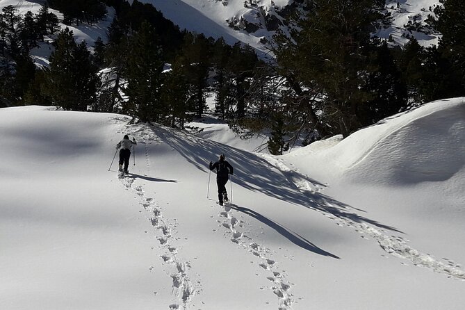 Guided Snowshoe Route in the National Park in the Pyrenees