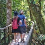 1 guided tour of the national park manuel antonio Guided Tour of the National Park Manuel Antonio