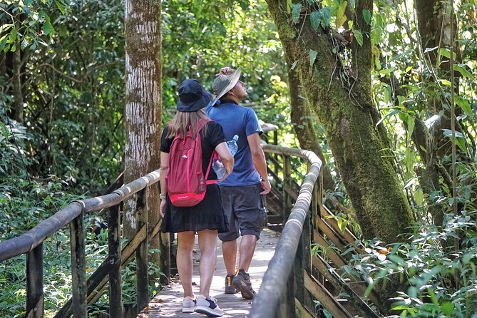 Guided Tour of the National Park Manuel Antonio