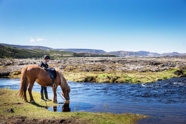 Hafnarfjörður: Horseback Riding Tour in Reykjavik Area