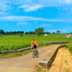 1 half day bike wine tour in burgundy Half Day Bike & Wine Tour in Burgundy