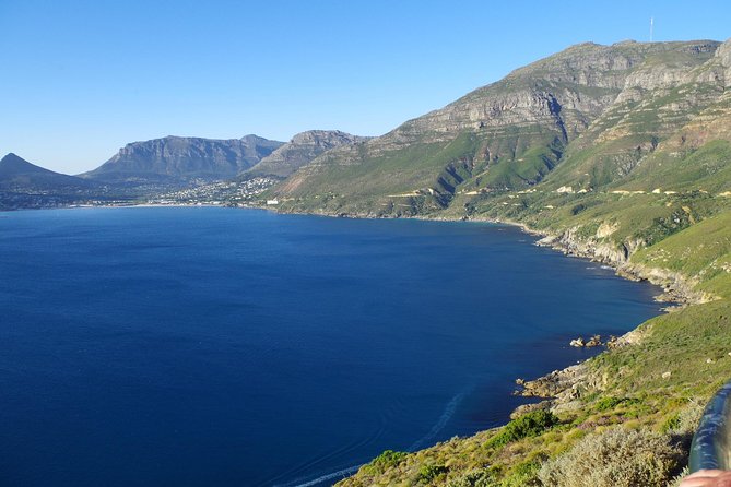 1 half day cape peninsula tour from cape town Half-Day Cape Peninsula Tour From Cape Town