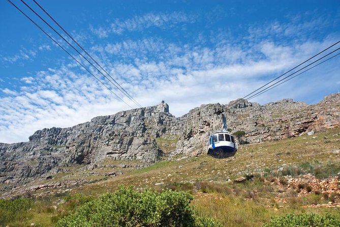 1 half day cape point tour from cape town Half Day Cape Point Tour From Cape Town