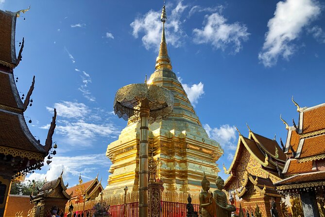 Half Day Doi Suthep Temple & Mae Ping River Cruise (Private)