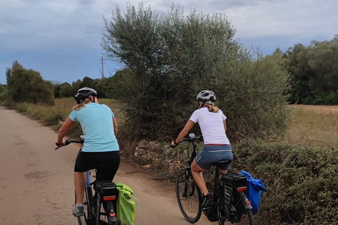 Half-Day E-Bike Tour to the Sineu Market