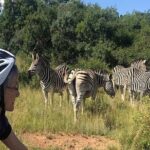 1 half day e biking with wildlife watching in pretoria Half Day E-Biking With Wildlife Watching in Pretoria