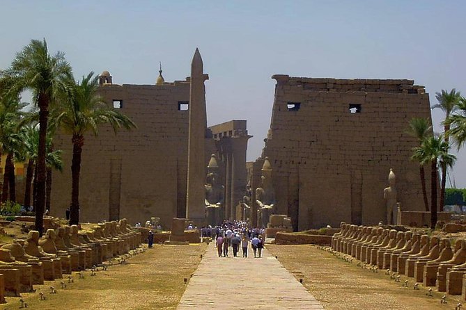 Half Day East Bank Tour to Luxor and Karnak Temples