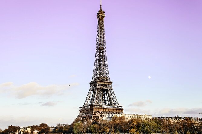 Half-Day Eiffel and River Cruise Private Tour