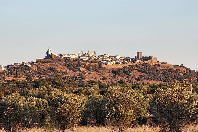 Half Day Guided Monsaraz Village and Castle Tour From Évora