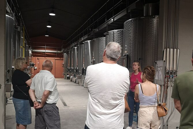 Half-Day in the Médoc : 2 Wineries & 6 Wines - Winery 2 Visit & Tasting