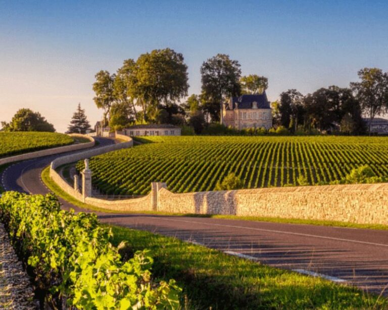 Half-Day in the Médoc From Bordeaux – 2 Wineries and 6 Wines