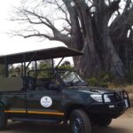 1 half day kruger open vehicle safari from marloth park Half Day Kruger Open Vehicle Safari From Marloth Park