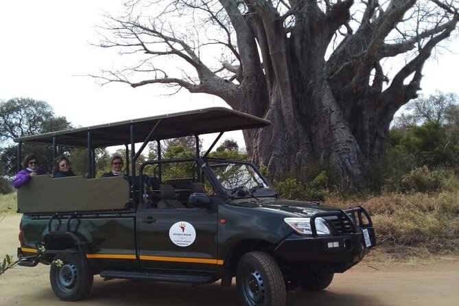 Half Day Kruger Open Vehicle Safari From Marloth Park