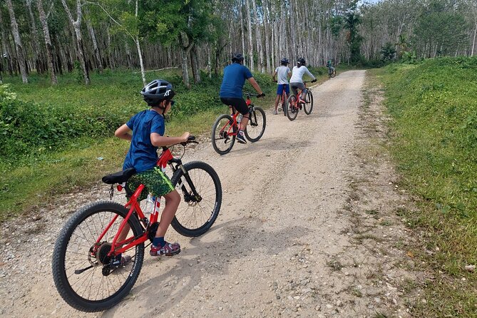 Half-Day Phukets Hidden Trails Biking Adventure Small-Group Tour