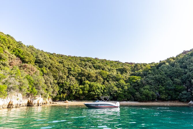 Half-Day Private Lim Fjord and Red Island Speedboat Tour
