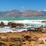 1 half day private tour to cape peninsula with local guide Half-Day Private Tour to Cape Peninsula With Local Guide