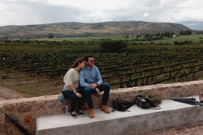 Half-Day Small-Group Vineyard Tour With Tastings  – San Miguel De Allende