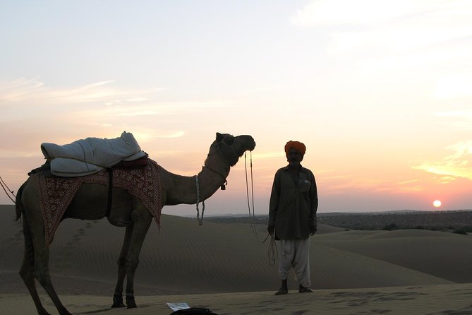 Half Day Sunset Camel & Cultural Adventure