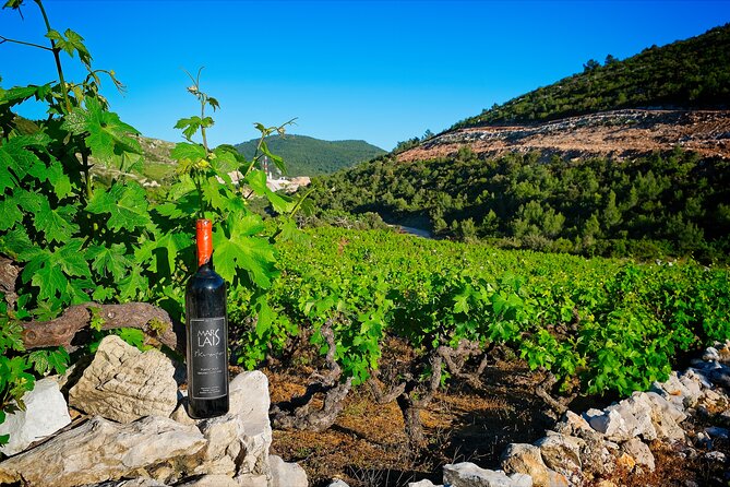 Half-Day Tour From Dubrovnik to Konavle With Wine Tasting