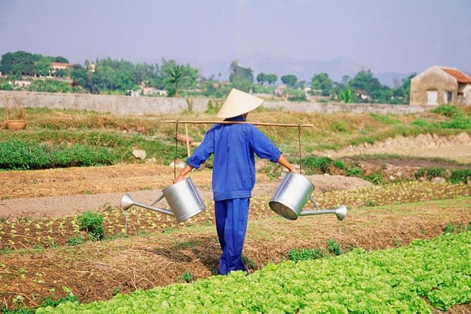 1 half day tra que herbal village tour from hoi an Half -Day Tra Que Herbal Village Tour From Hoi an